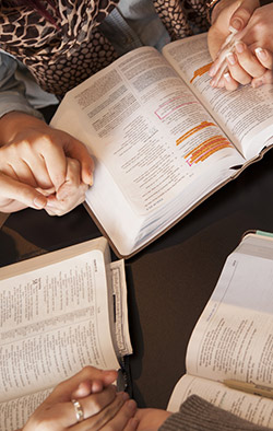 Quelltor Hausgruppen